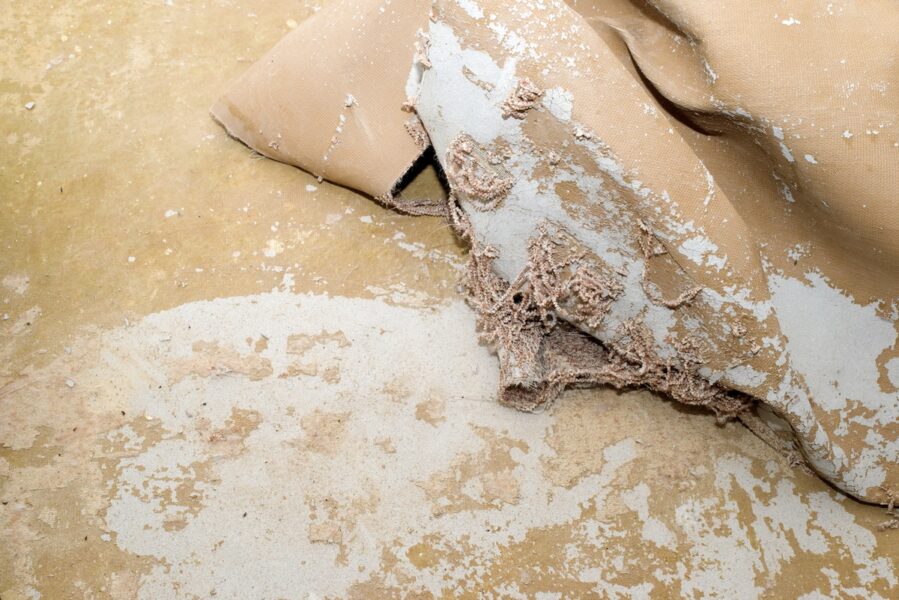 Teppichkleber entfernen 3 Teppichkleber entfernen