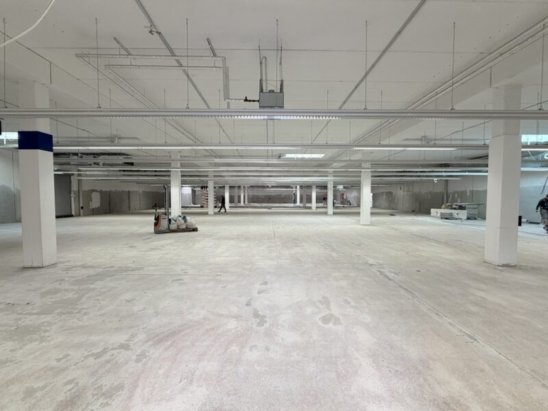Elektronikfachmarkt in Hamm: 2.000 m² Teppich + Teppichkleber in 5 Tagen entfernt 8 fertig geschliffener Boden
